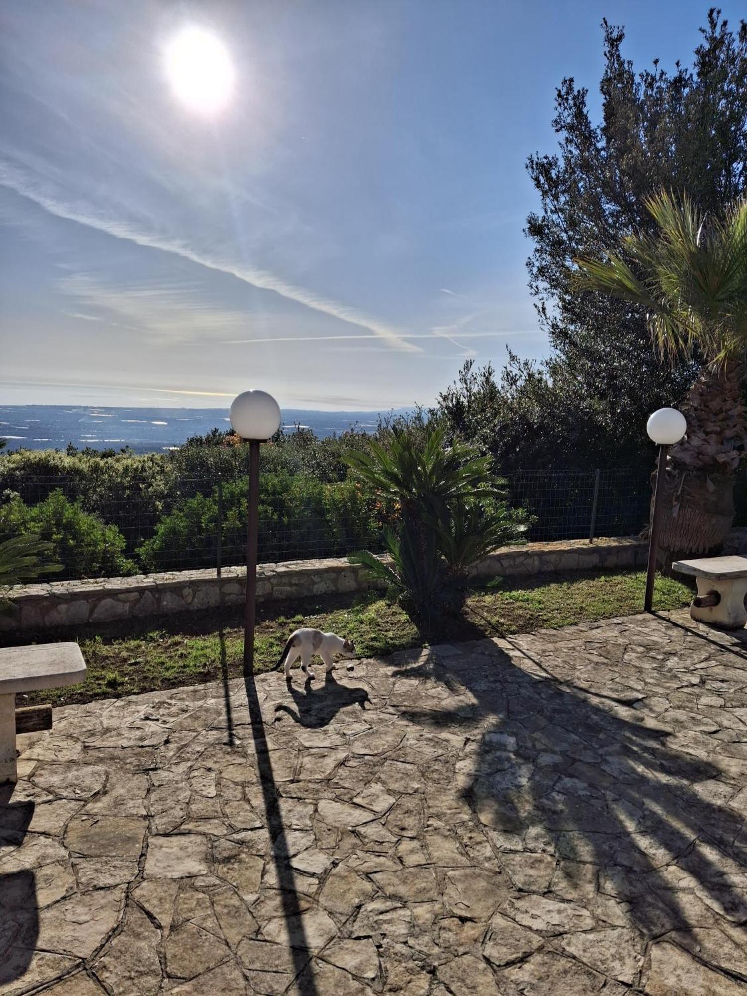 Villa Maremonti Monopoli Exterior photo